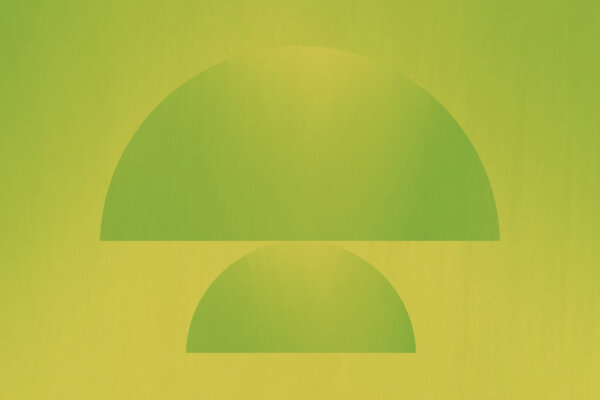 Selbstwirksamkeit leben – Eigenverantwortung stärken